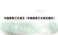 中国黑客三大毒王(中国黑客三大毒王图片)