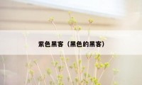 紫色黑客（黑色的黑客）