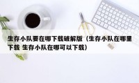 生存小队要在哪下载破解版（生存小队在哪里下载 生存小队在哪可以下载）