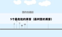 5个最危险的黑客(最利害的黑客)