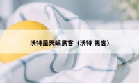 沃特是天蝎黑客(沃特 黑客)