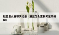 魅蓝怎么查聊天记录(魅蓝怎么查聊天记录截图)