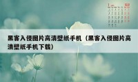 黑客入侵图片高清壁纸手机（黑客入侵图片高清壁纸手机下载）