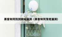 黑客如何找到网站漏洞(黑客如何发现漏洞)