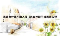 黑客为什么不敢入侵(怎么才能不被黑客入侵)