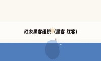 红衣黑客组织（黑客 红客）