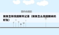 微微怎样找回聊天记录（微微怎么找回删掉的好友）