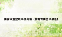 黑客设置壁纸手机高清（黑客专用壁纸黑色）