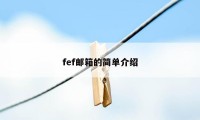 fef邮箱的简单介绍