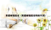 育碧邮箱验证(育碧邮箱验证码收不到)