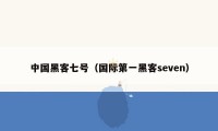 中国黑客七号（国际第一黑客seven）