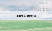 黑客专马（黑客 v）