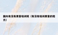 国内有没有黑客培训班（有没有培训黑客的地方）