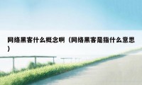 网络黑客什么概念啊（网络黑客是指什么意思）