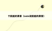 个肮脏的黑客（sans说肮脏的黑客）