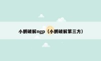 小鹏破解ngp（小鹏破解第三方）
