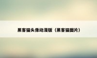 黑客猫头像动漫版(黑客猫图片)