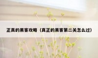 正真的黑客攻略(真正的黑客第二关怎么过)