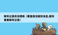 聊天记录你没理我（要是我没回你消息,那你看看聊天记录）