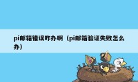 pi邮箱错误咋办啊(pi邮箱验证失败怎么办)