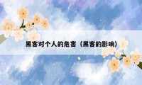 黑客对个人的危害（黑客的影响）