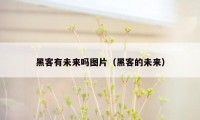黑客有未来吗图片（黑客的未来）