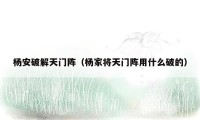 杨安破解天门阵（杨家将天门阵用什么破的）