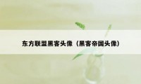 东方联盟黑客头像（黑客帝国头像）