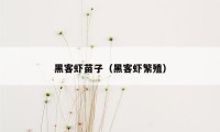 黑客虾苗子（黑客虾繁殖）