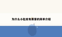 为什么小肚皮有黑客的简单介绍