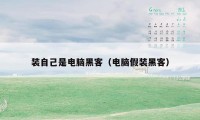 装自己是电脑黑客(电脑假装黑客)