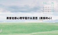 黑客犯罪心理学是什么意思（黑客的心）