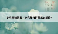 小鸟邮箱群发（小鸟邮箱群发怎么操作）