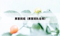 黑客团结（黑客团队名称）