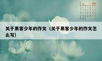 关于黑客少年的作文(关于黑客少年的作文怎么写)