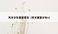 天才少年黑客受文(天才黑客少年v)