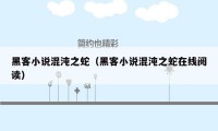 黑客小说混沌之蛇（黑客小说混沌之蛇在线阅读）