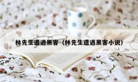 林先生遭遇黑客(林先生遭遇黑客小说)