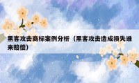 黑客攻击商标案例分析(黑客攻击造成损失谁来赔偿)