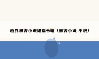 越界黑客小说短篇书籍（黑客小说 小说）