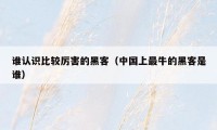 谁认识比较厉害的黑客（中国上最牛的黑客是谁）