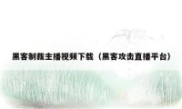 黑客制裁主播视频下载（黑客攻击直播平台）