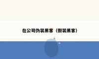 在公司伪装黑客（假装黑客）