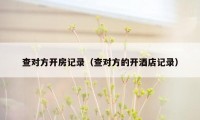 查对方开房记录（查对方的开酒店记录）