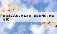 邮箱密码忘掉了怎么办呢（邮箱密码忘了怎么办啊）