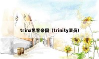trina黑客帝国（trinity演员）