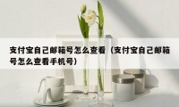支付宝自己邮箱号怎么查看(支付宝自己邮箱号怎么查看手机号)