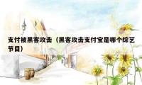 支付被黑客攻击(黑客攻击支付宝是哪个综艺节目)