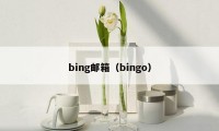 bing邮箱（bingo）