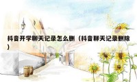 抖音开学聊天记录怎么删（抖音聊天记录删除）